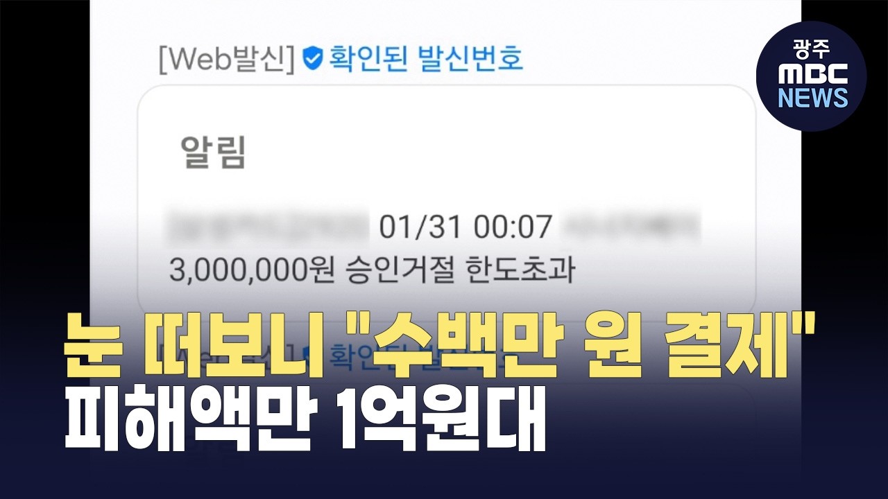 수백만 원 씩 도둑 결제...확인된 피해만 1억원대 (뉴스데스크 2026.2.26 광주MBC)