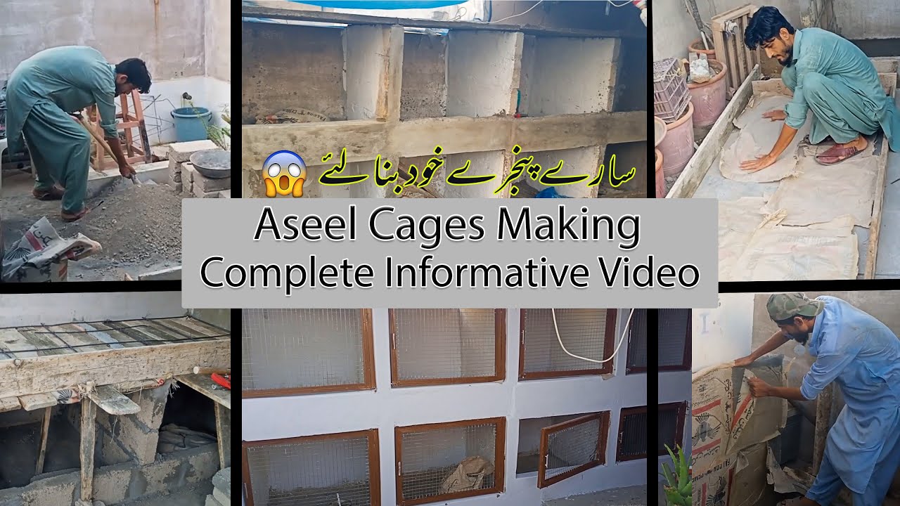 Aseel Cages Making | New Aseel Setup Complete information