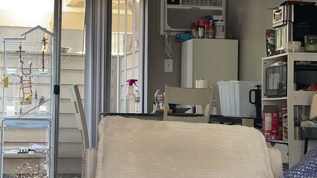 Highlight 31:14 - 36:14 from Beautiful Afternoon