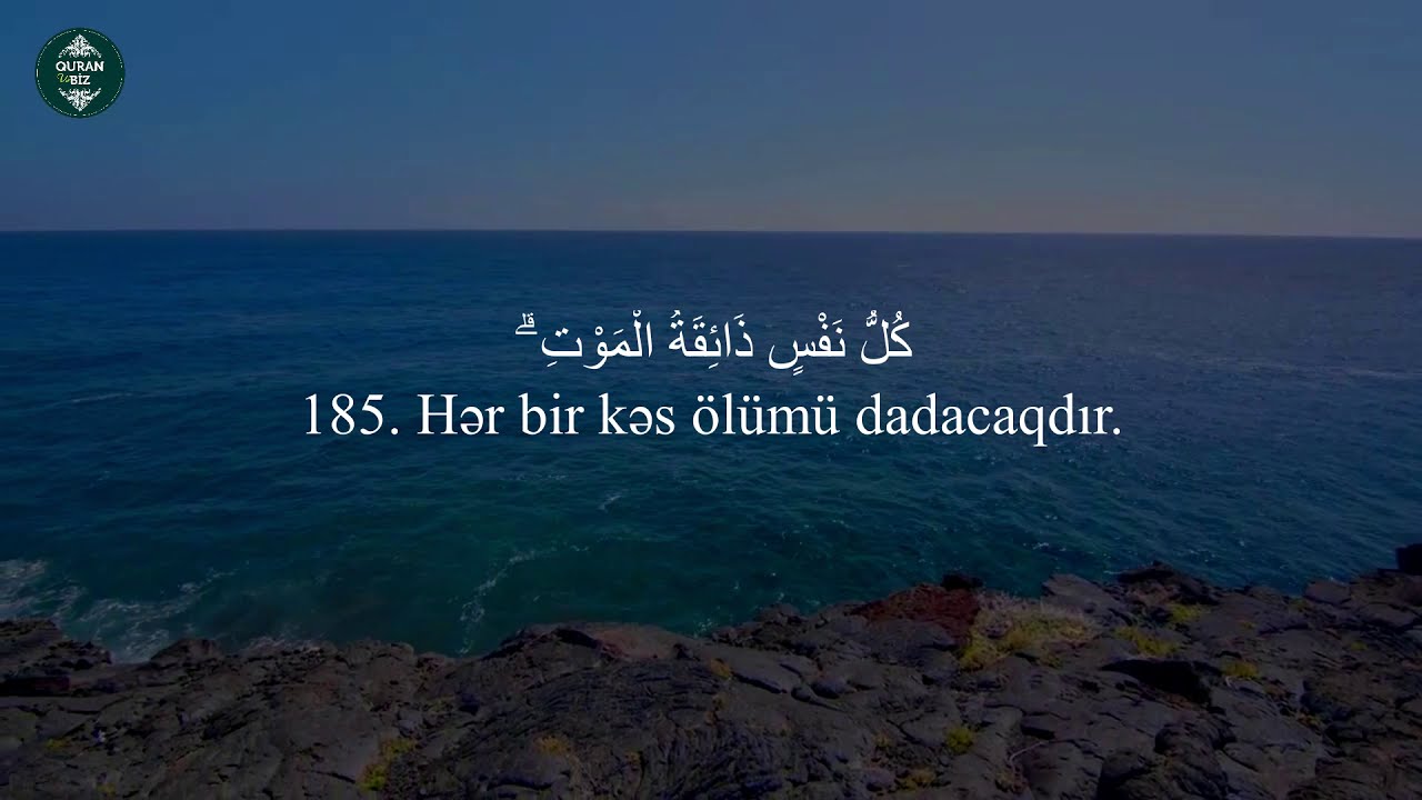 Allah bizə yetər.O nə gözəl Qoruyandır!. Ali İmran surəsi (169-185) Omar Hisham al Arabi #17