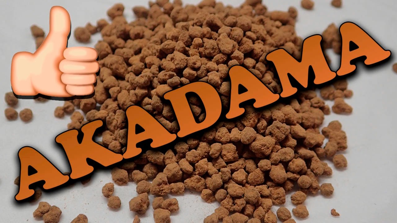 AKADAMA en acuarios TODO lo que debes saber 🌱 | Sustrato para acuarios