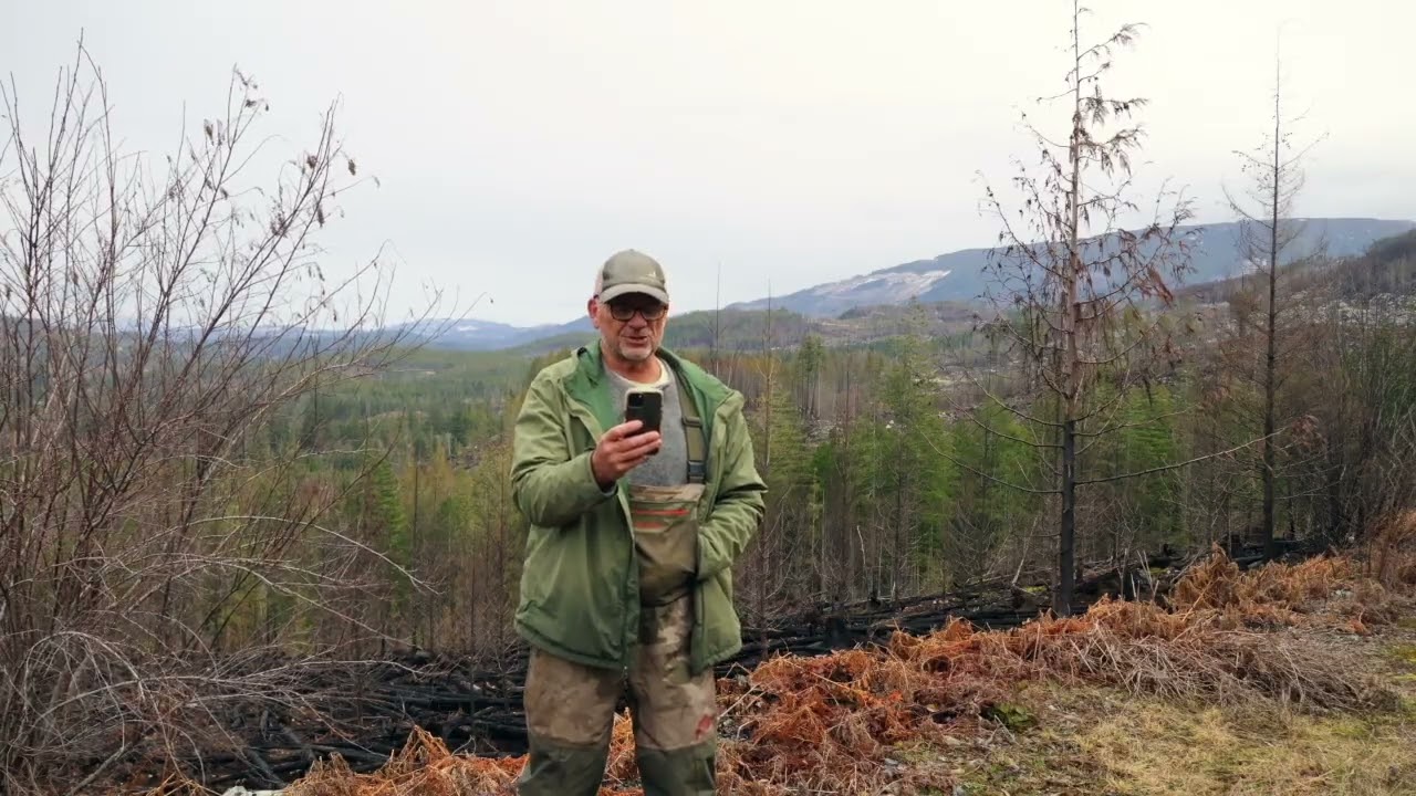 Сегодня это попало на видео! И появилось множество странных свидетельств, связанных с снежным чел...