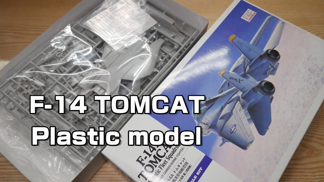 ハセガワ 1/72 F-14A トムキャットの素組みの件