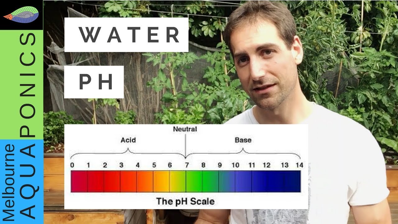 pH Control in Aquaponics (2018)