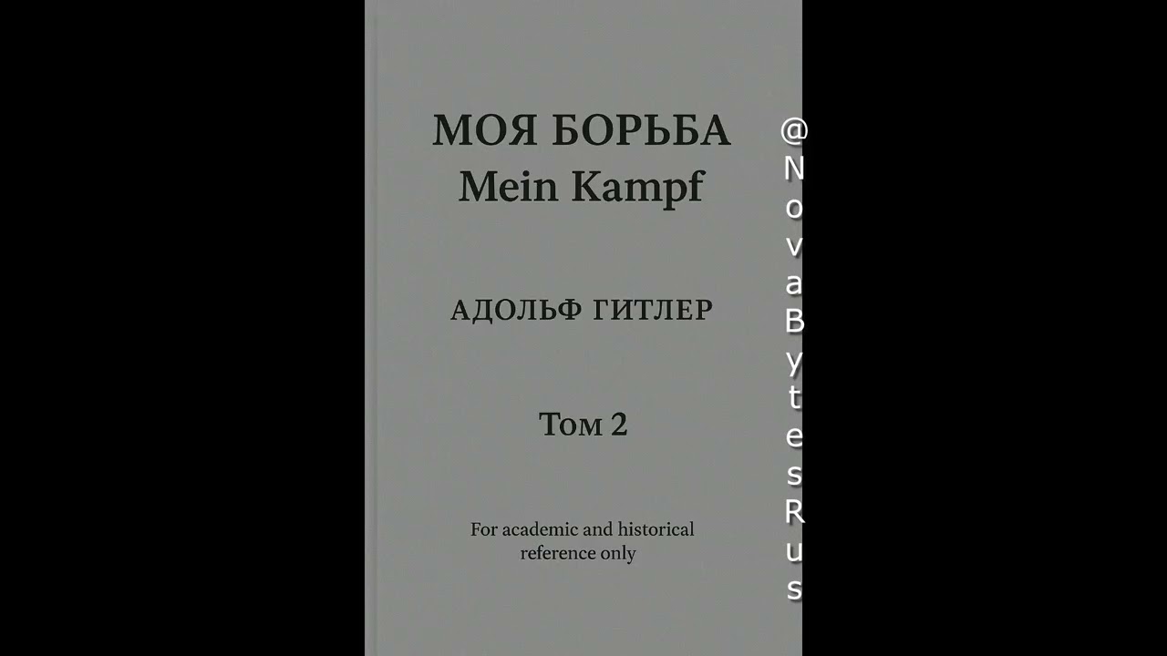 Моя борьба - Адольф Гитлер (Том 2 краткое содержание книги)