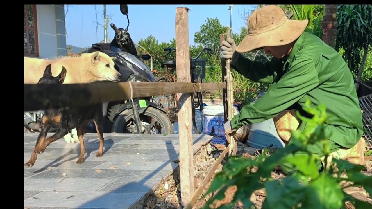Rural Life – Natural Fence