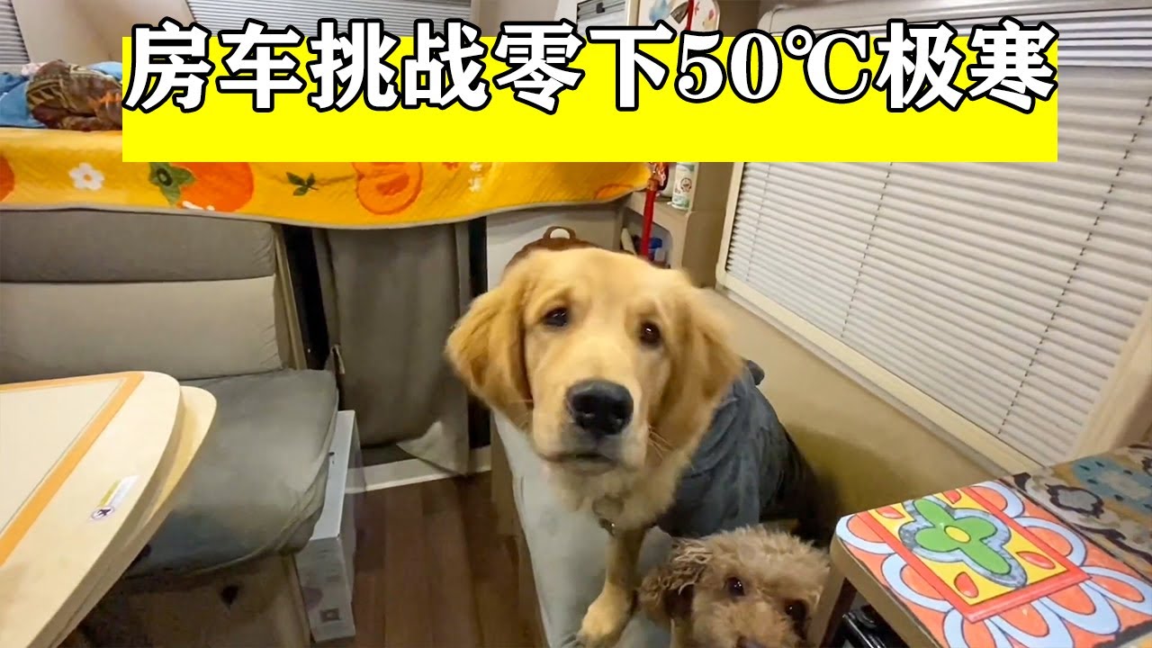 零下50度极寒天气，房车极寒露营【小七的房车生活】