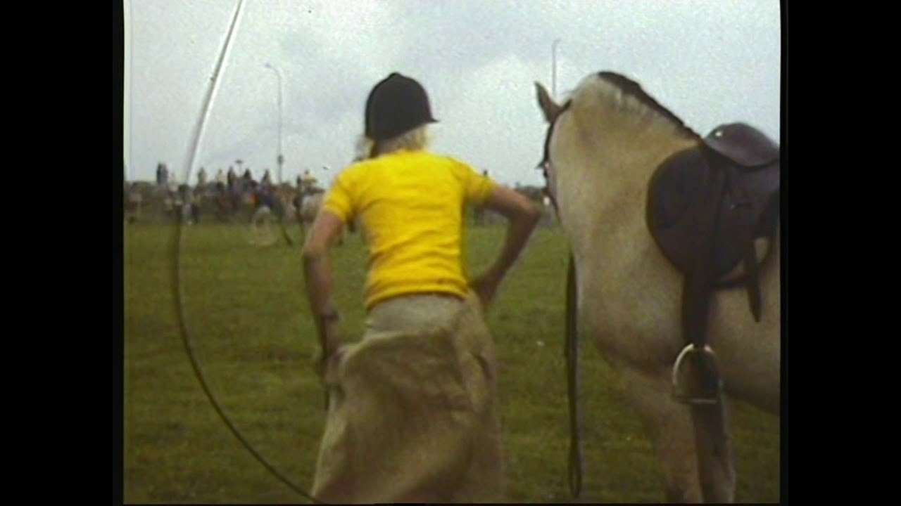 Fjordenpaarden Keuring Stamboek begin jaren '80