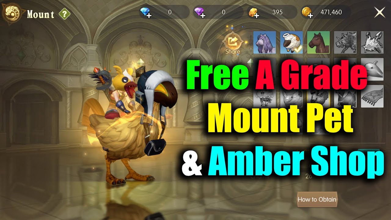 Dragon Nest 2 Evolution Free A Grade Mount Pet & Amber Shop