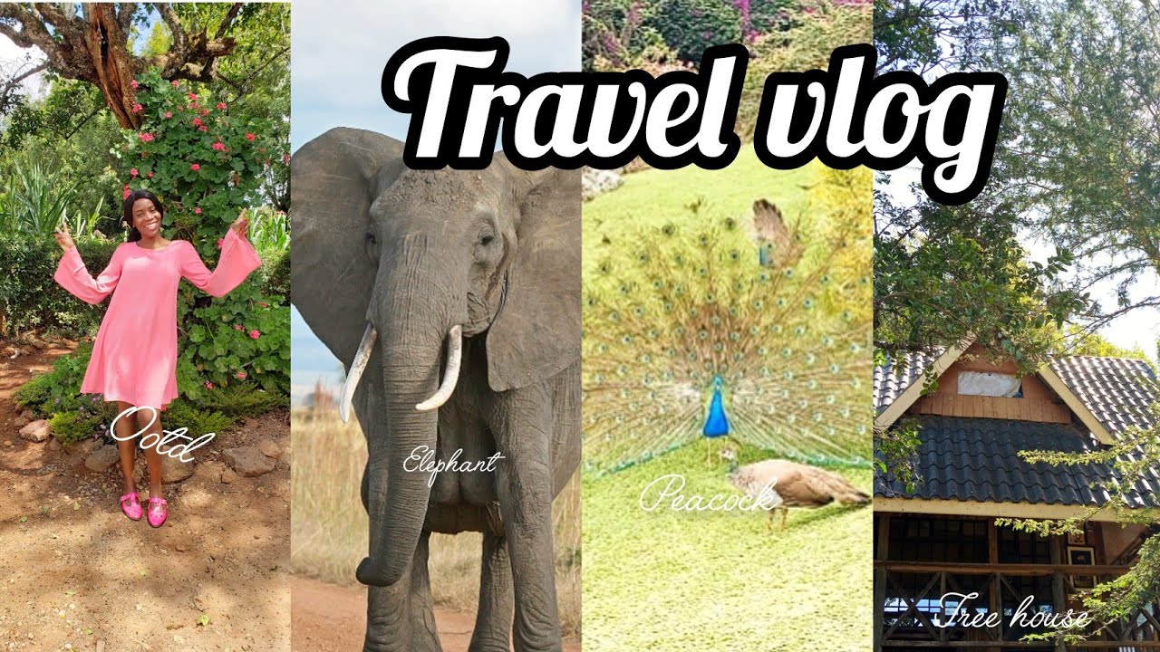 TRAVEL VLOG:How to Explore Aberdare Country Club//Mokima Tree house ,Scenic Adventure in Kenya