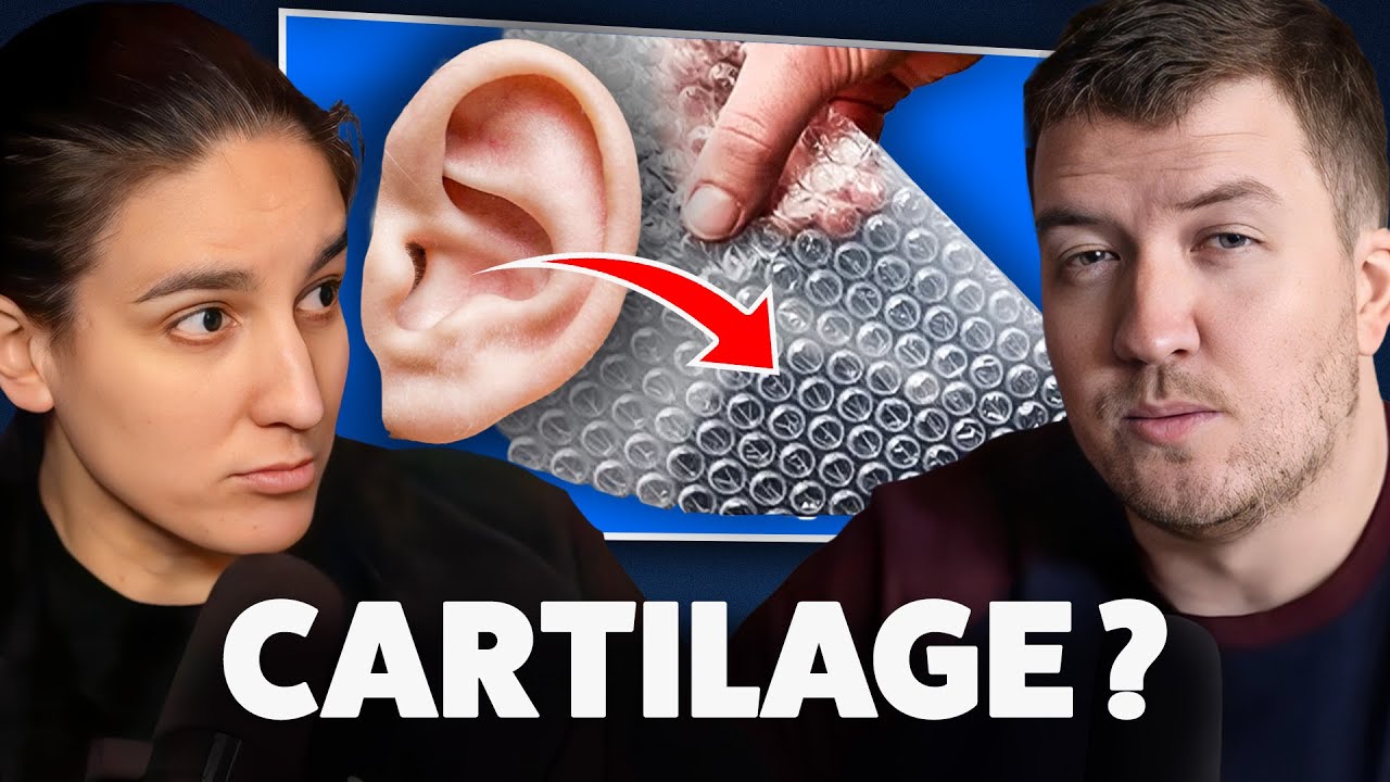 Un nouveau type de cartilage découvert… en forme de papier bulle [Avec des Sci]