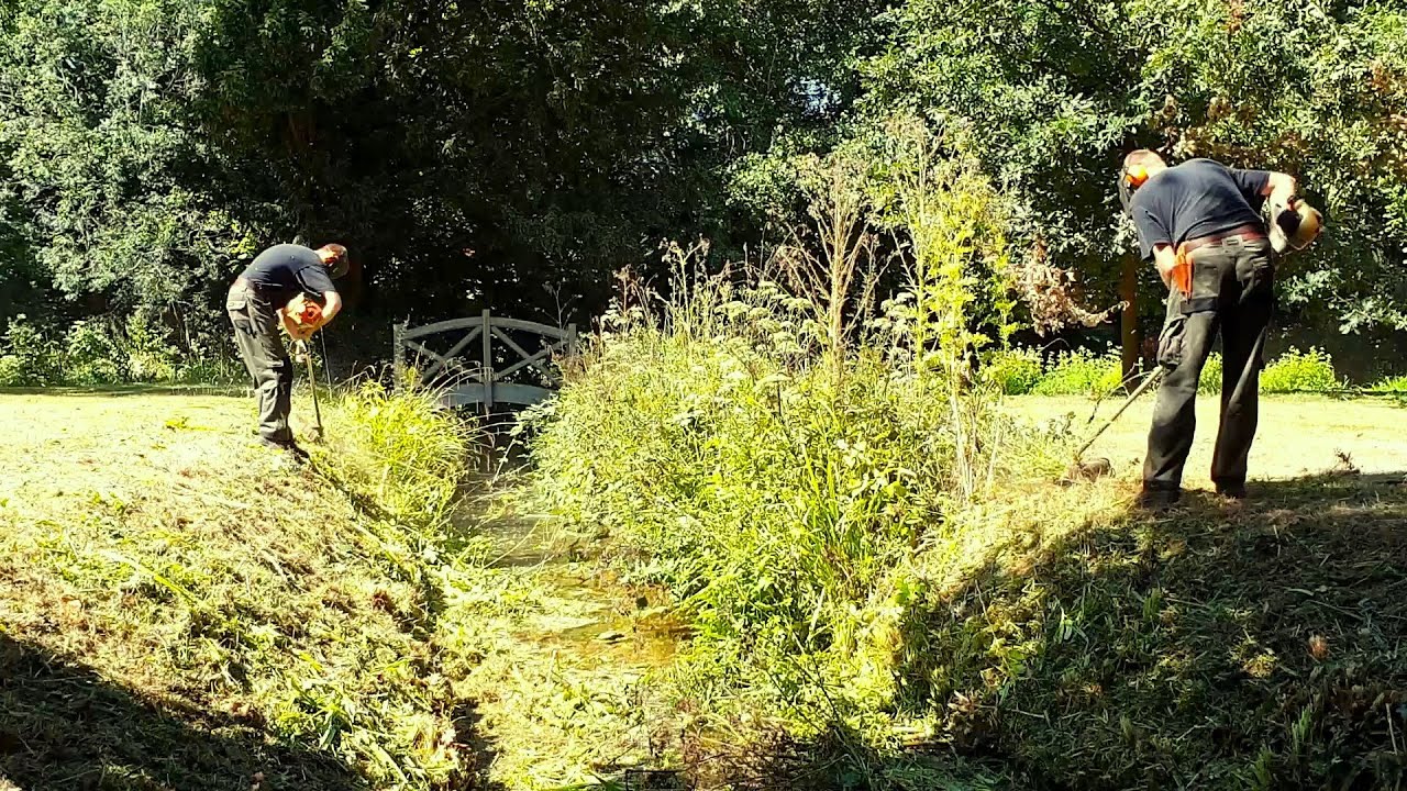 Hard Work, Trimming and Cleaning Overgrown Streambank