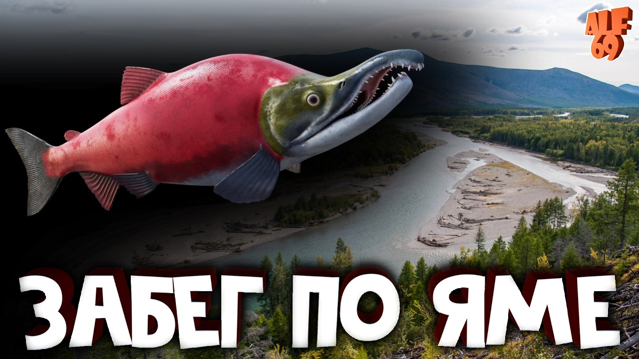 ИЩЕМ ТРОФЕИ, ФАРМИМ, ОБЩАЕМСЯ! #SHORTS СТРИМ РУССКАЯ РЫБАЛКА 4 (RUSSIAN FISHING 4)