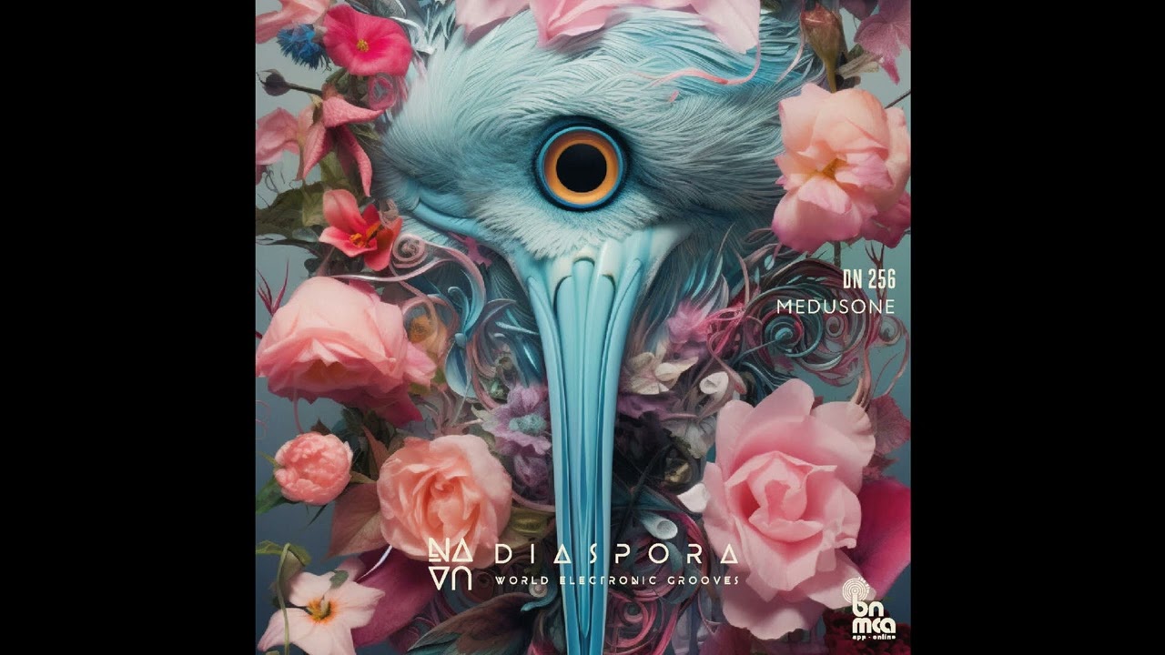 World Electronic Grooves DIASPORA #256 - Medusone
