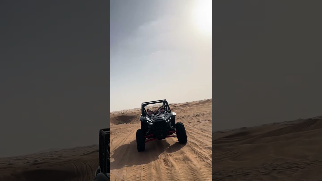 Sand dunes driving in a buggy 