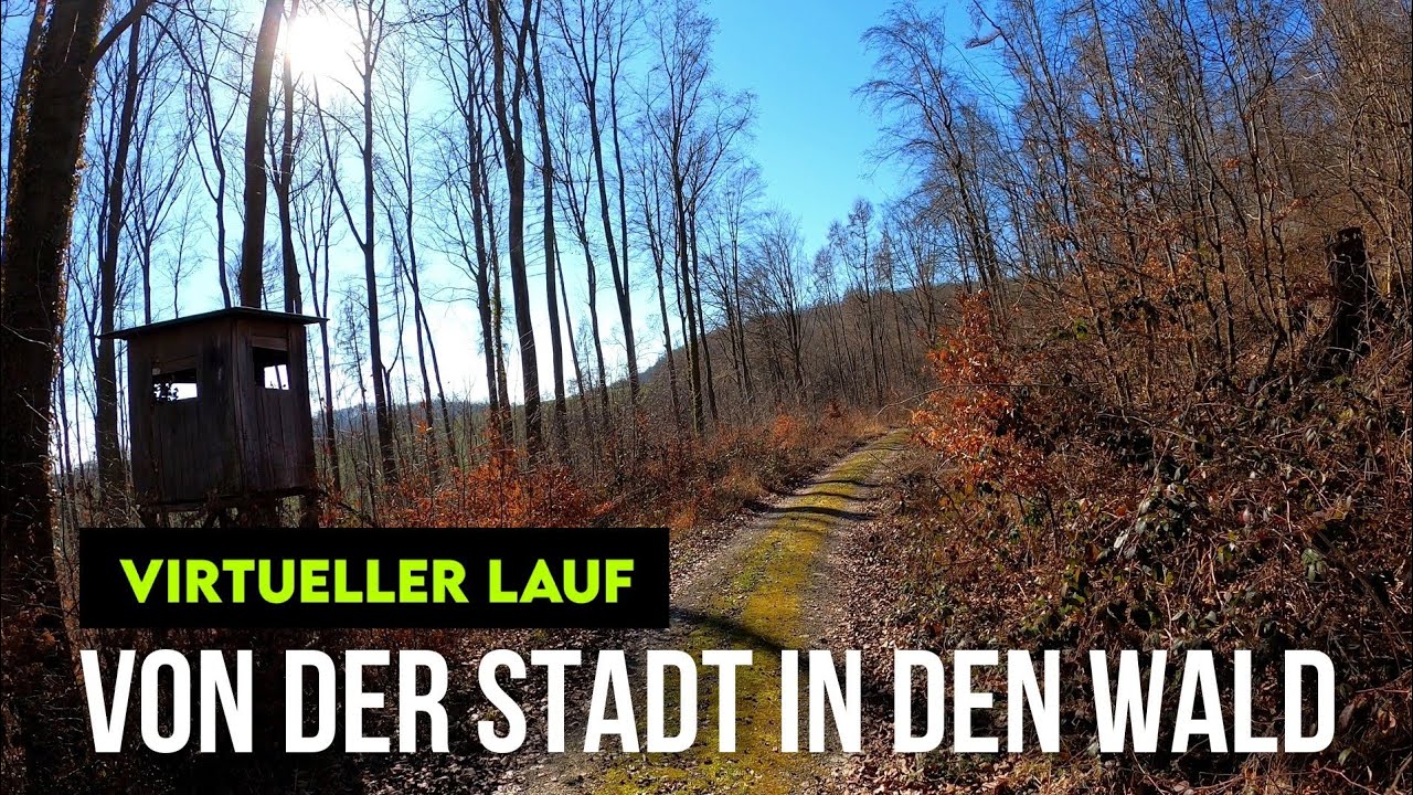 Virtueller Lauf 30 min | 4,8 km Lauf von der Stadt in den Wald | Laufband, Treadmill, Virtual Run