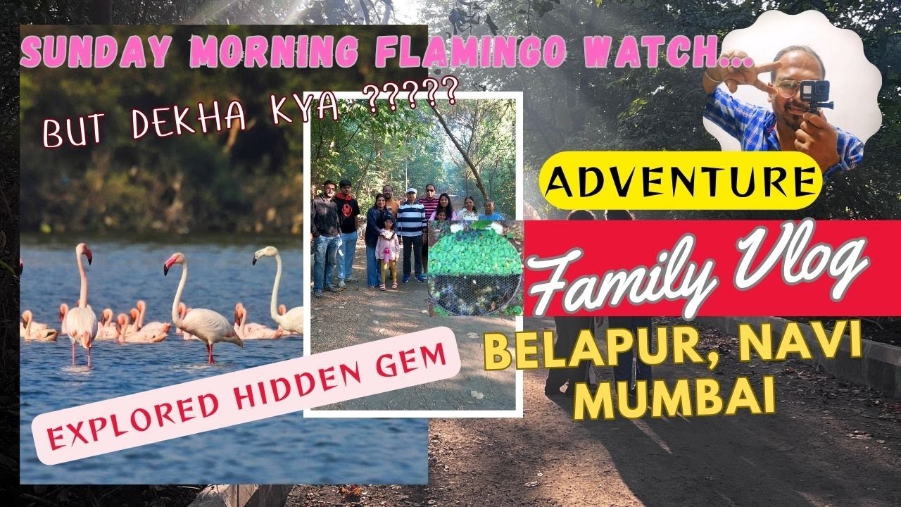 Flamingo Watching in Navi Mumbai | Hidden Bird Sanctuary at Belapur 🦩 | Family Trip Vlog