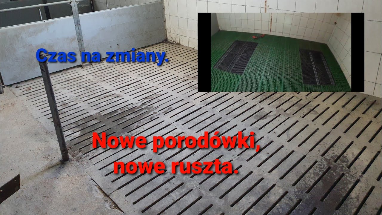 Vlog #33 - Kolejne zmiany w chlewni. Porod&oacute;wka rezerowowa. Wymiana ruszt&oacute;w.
