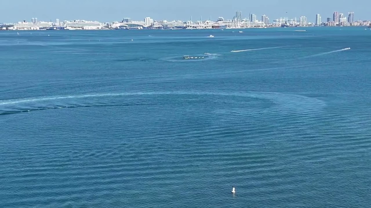 Que hacer en Miami? 4k