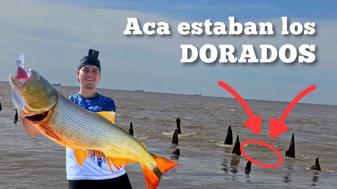 PESCA de DORADOS 🔥 | Pesca en los malecones, Berisso 📍