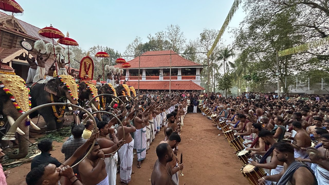 കുട്ടനെല്ലൂർ പൂരം 2026 - പഞ്ചാരിമേളം - അഞ്ചാം കാലം കുഴ മറിയൽ മുതൽ കലാശം - പെരുവനം കുട്ടൻ മാരാർ & ടീം