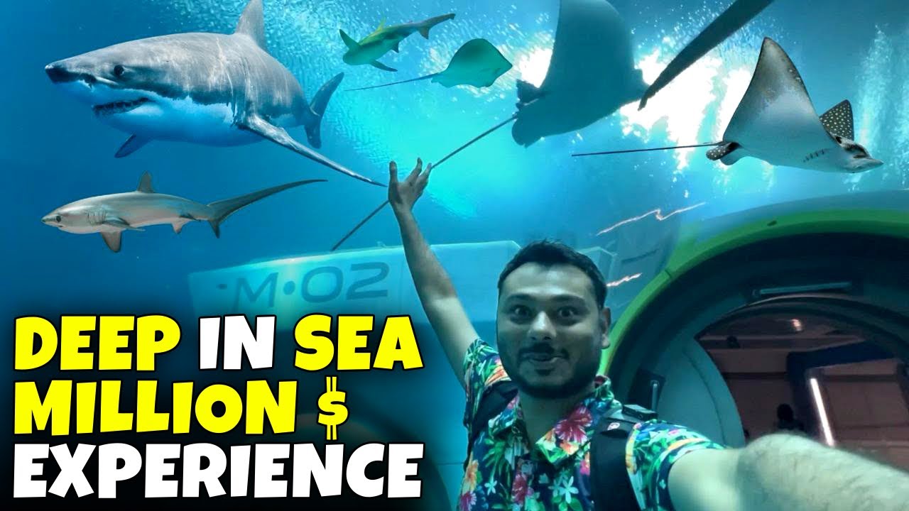 INSIDE THE SEA😍WORLD BIGGEST SEA AQUARIUM (sea world Abu Dhabi) Jimmy junaid zoologist vlogs