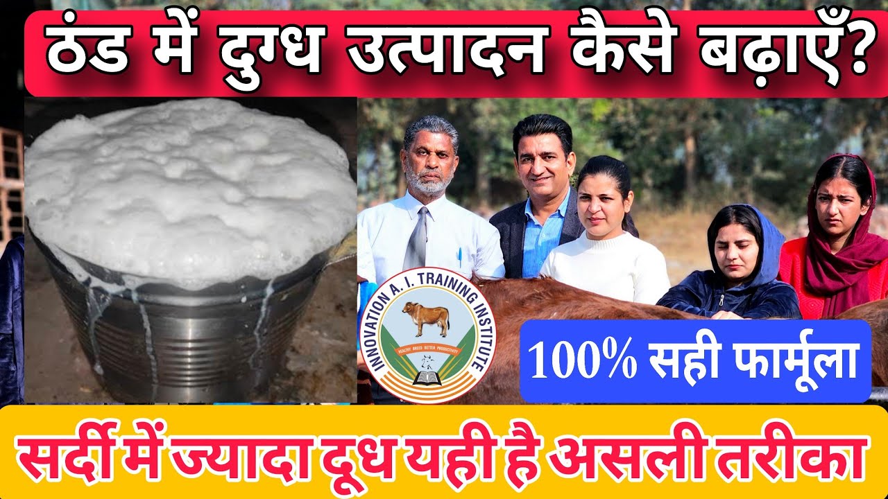 ठंड में पशुओ का दूध कैसे बढ़ाएं | Winter Milk Boosting Formula |How to Increase Milk in Cold Weather