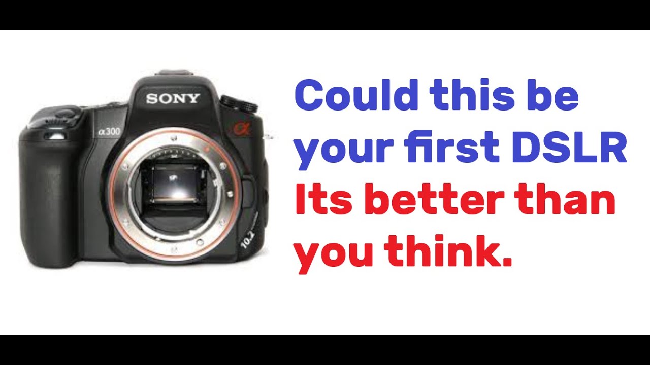 Your first DSLR   Sony Alpha 300