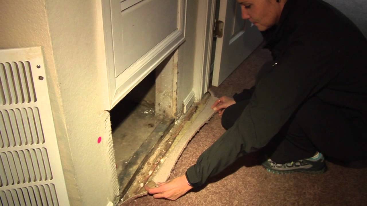 Tenant takes action after mold infestation in apartment complex