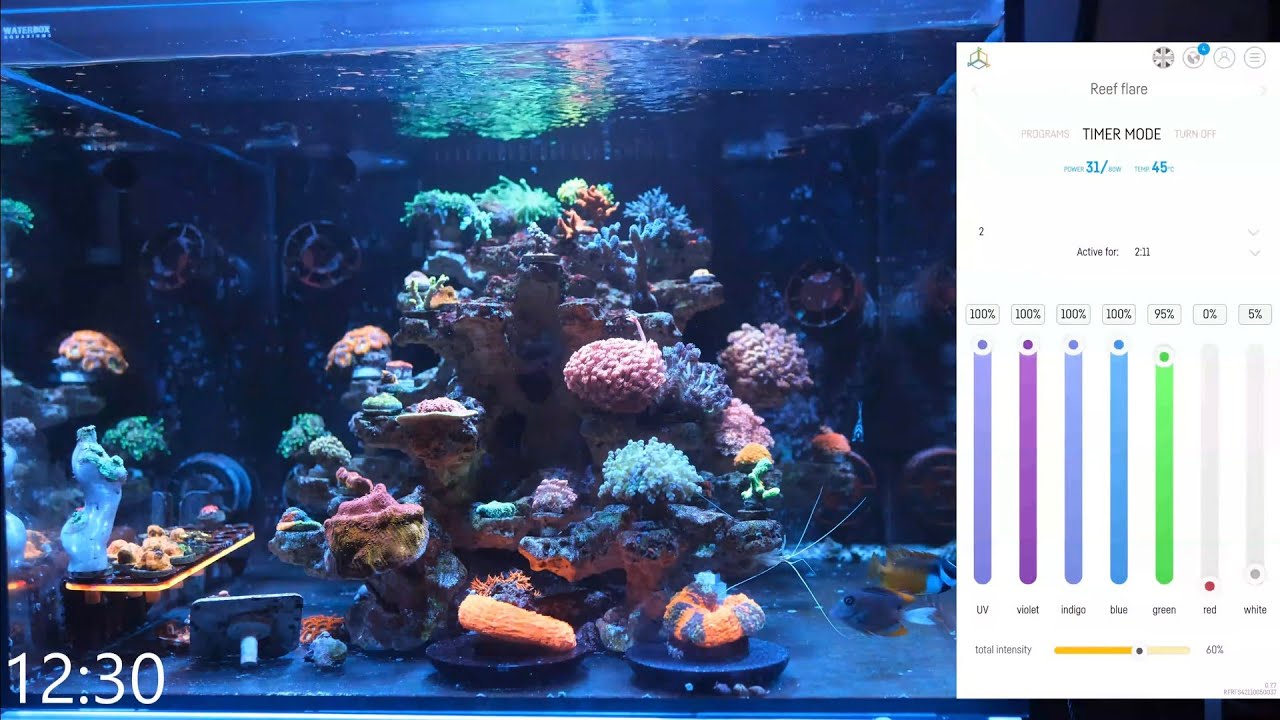 My Reef Factory Reef Flare Pro Settings