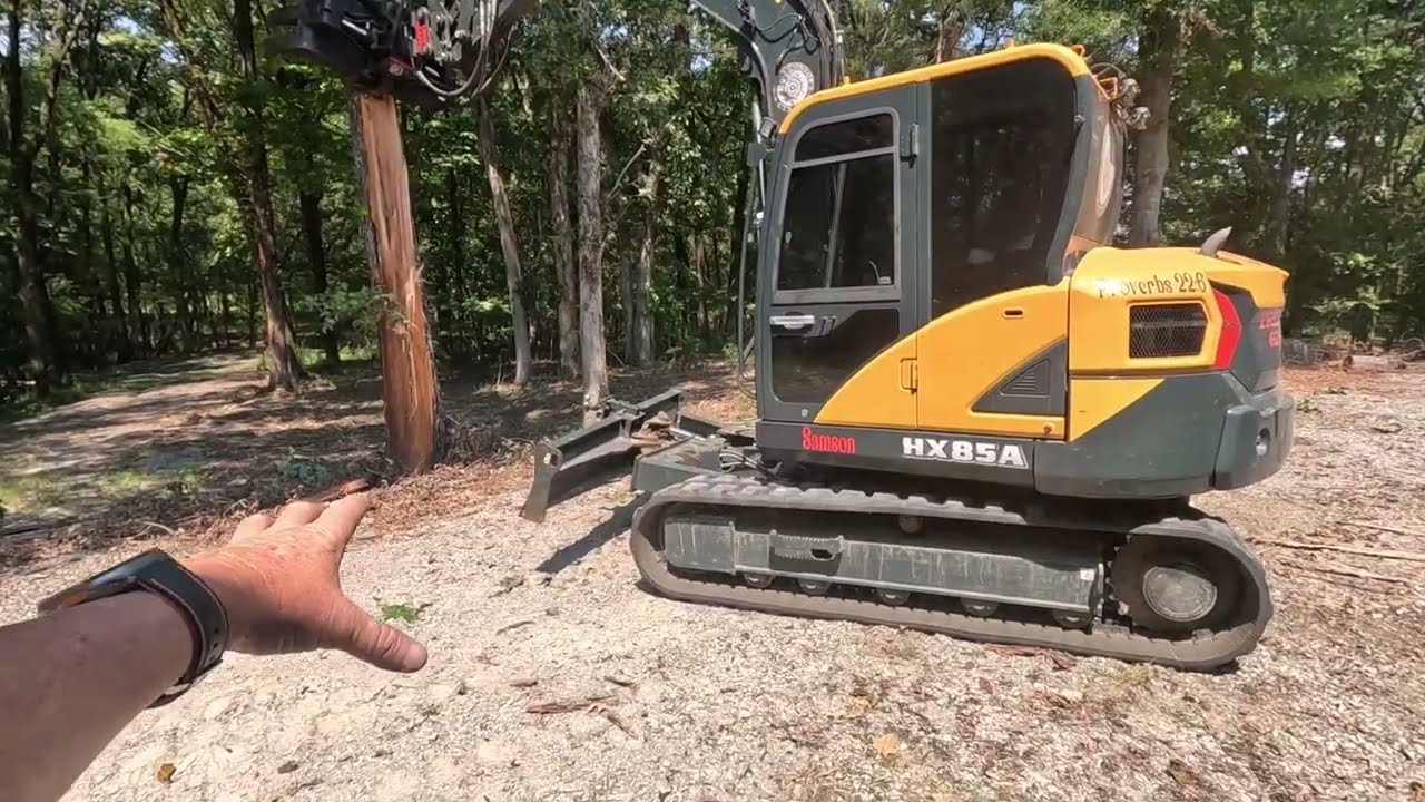 Lightning struck tree removal 