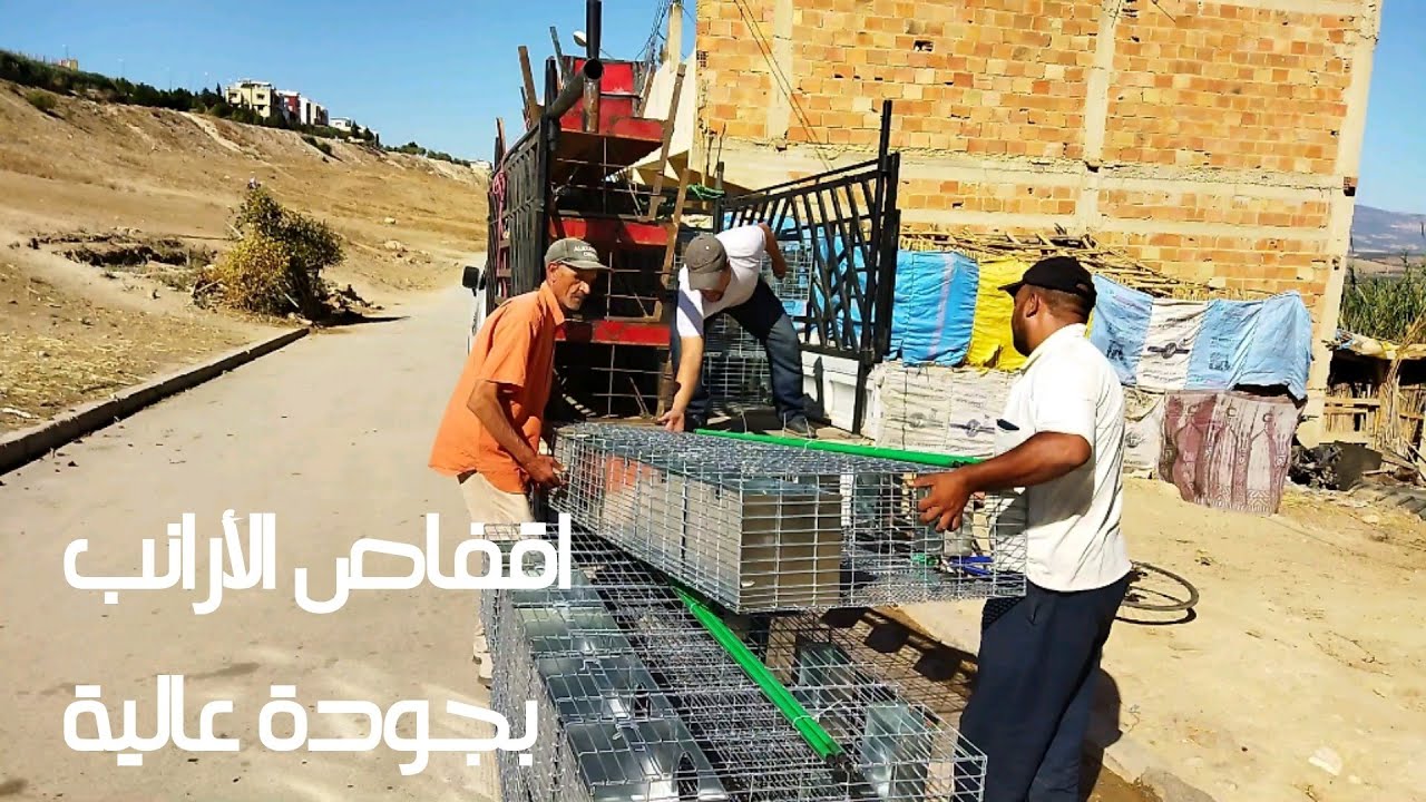 الحمد لله دائما كاين الجديد عند مزارع المغرب اقفاص الأرانب جودة عالية بأسعار تنافسية
