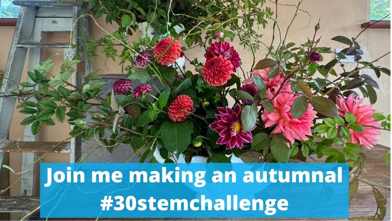 Season’s end in two thirty stem challenges - enjoy and be inspired x