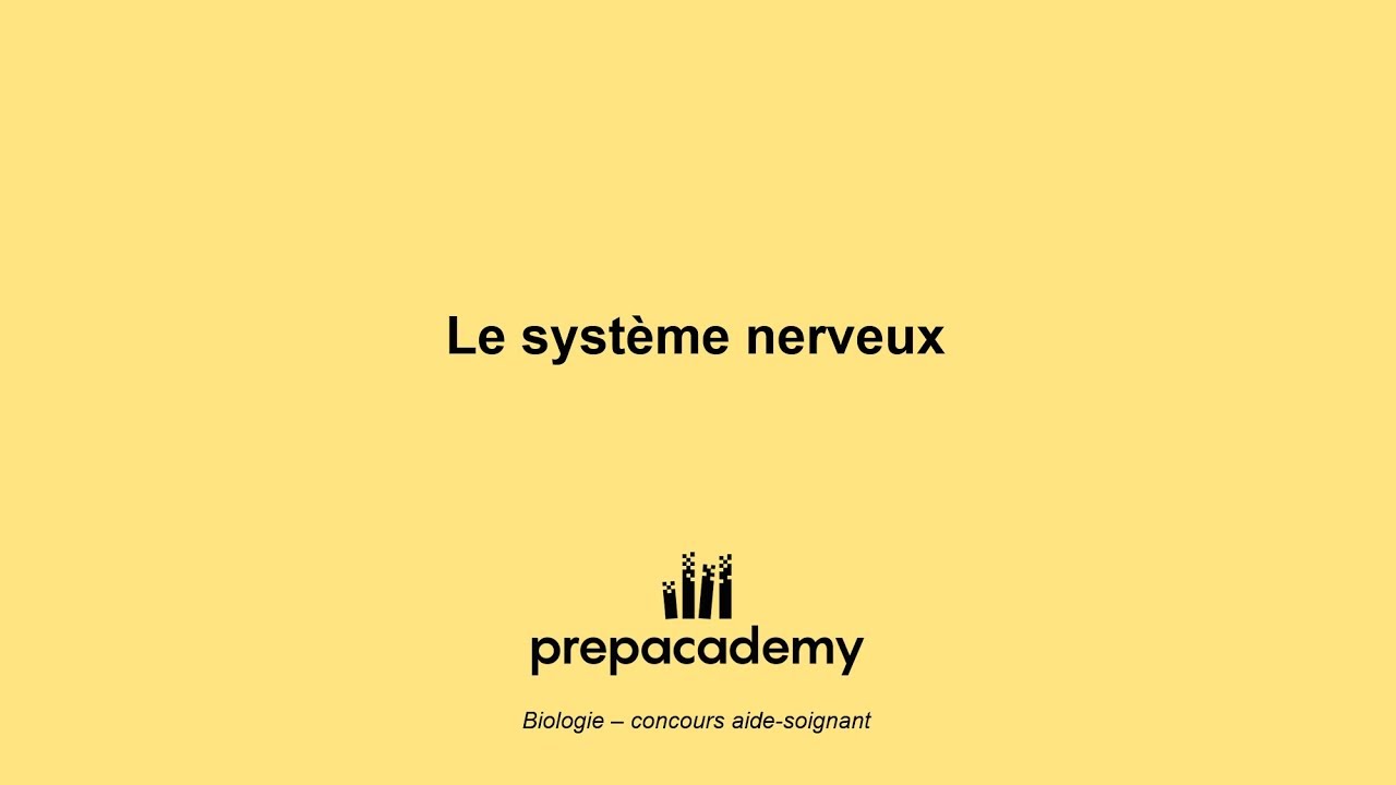 Le système nerveux