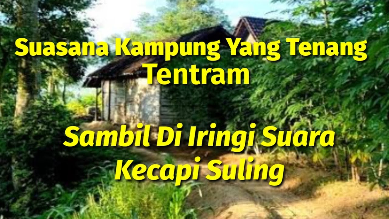 Suasana kampung yang sangat tenang daerah Manonjaya Tasikmalaya || suasana pedesaan yang tentram