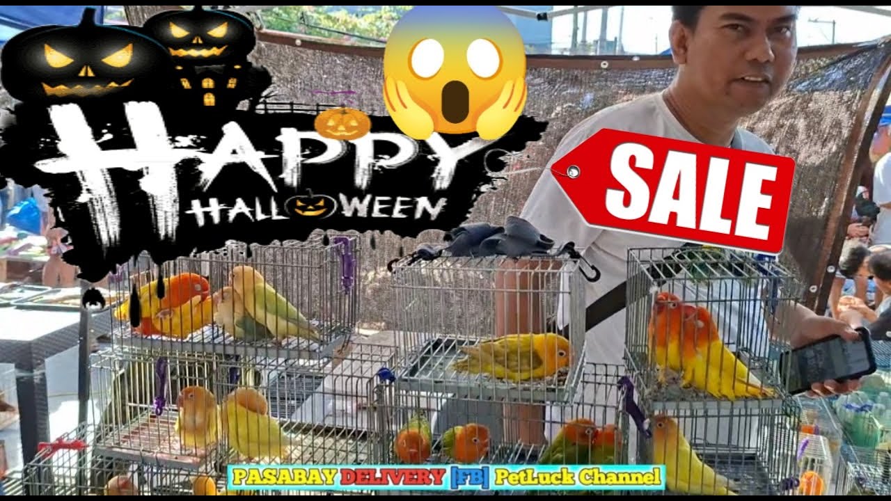 LOVEBIRDS SUPER SALE SA HULONG DUHAT MALABON