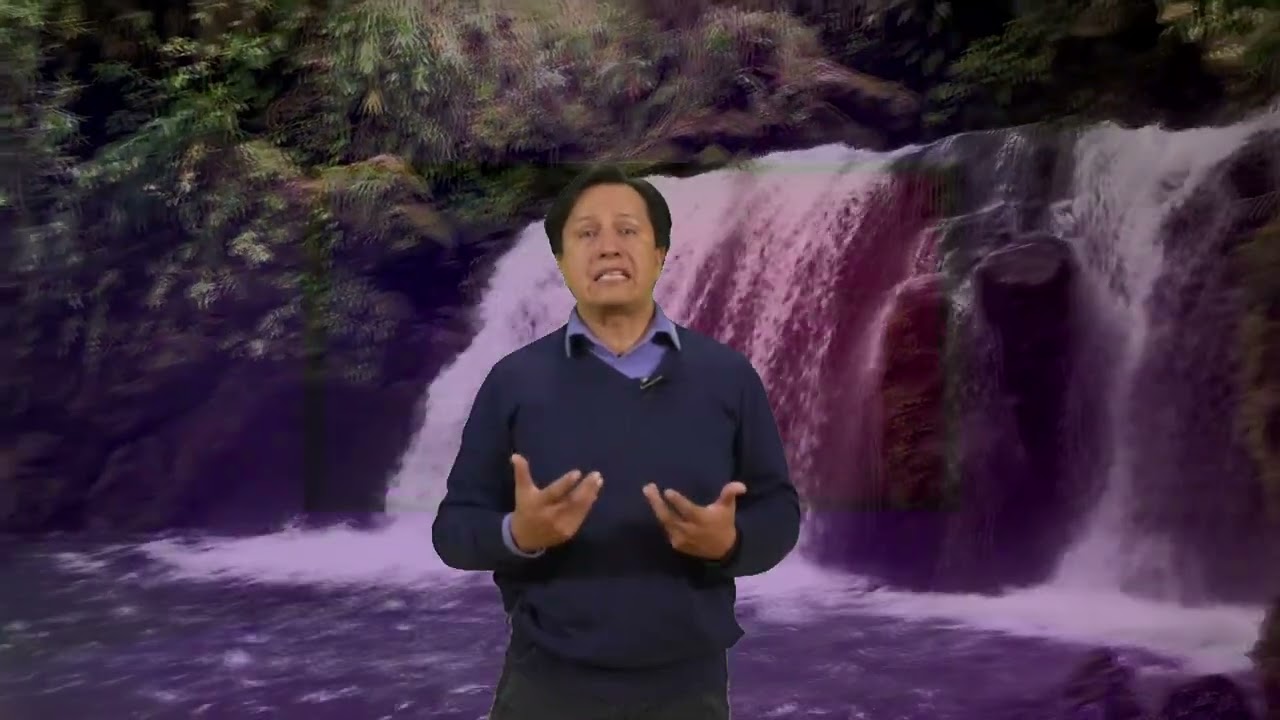 Bosque mes&oacute;filo de monta&ntilde;as