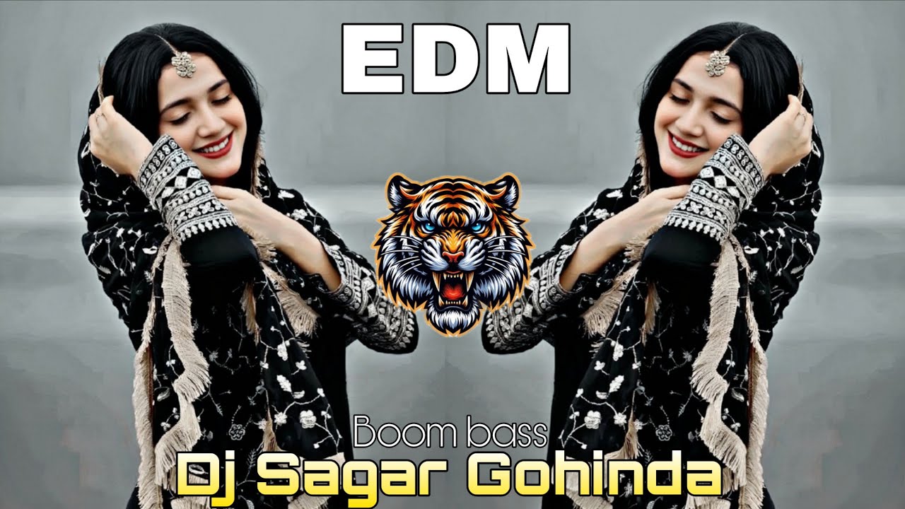 AAYE HAM HAM BARATI | BARAT SPL VIRAL SONG | DJ EDM ❌ BOOM BASS SONG DJ SAGAR GOHINDA 