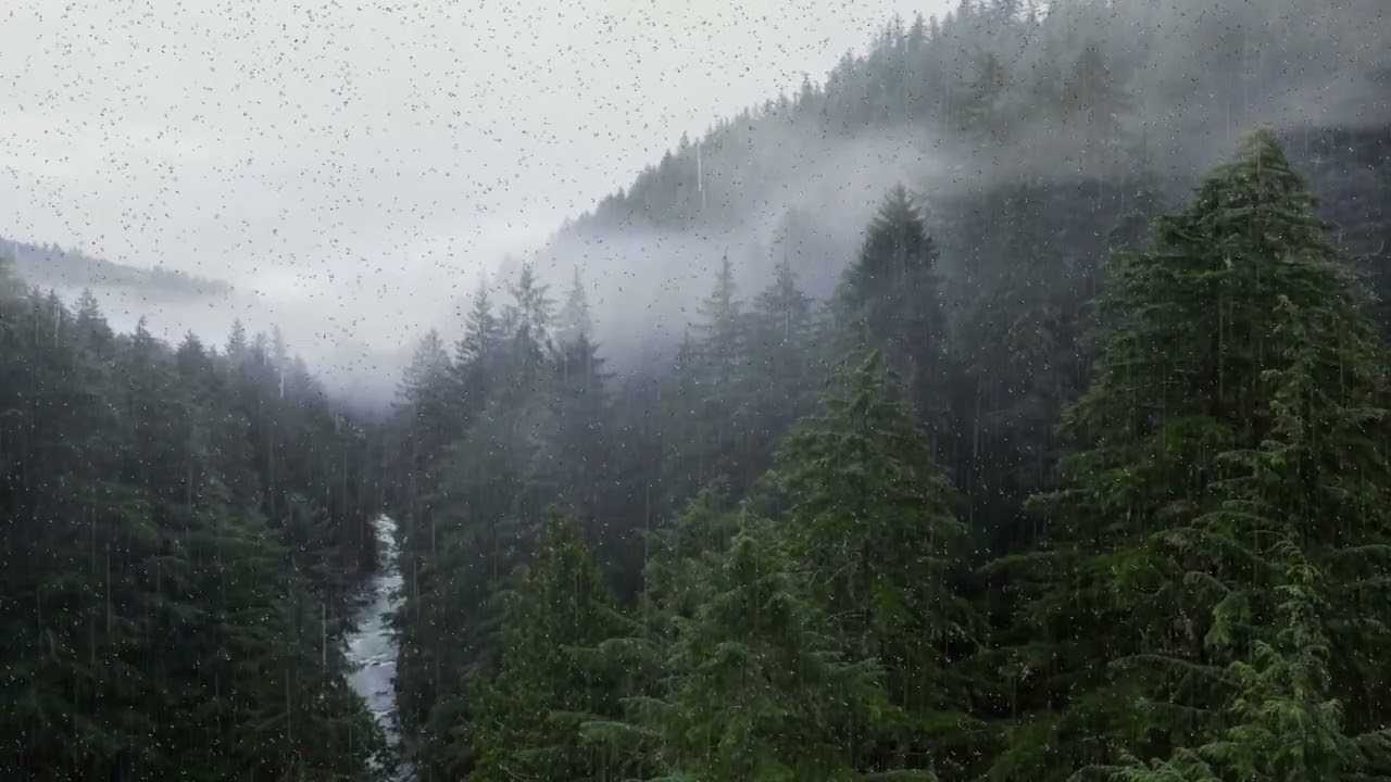 Fall Asleep Fast with Rain Sounds & Nature ASMR