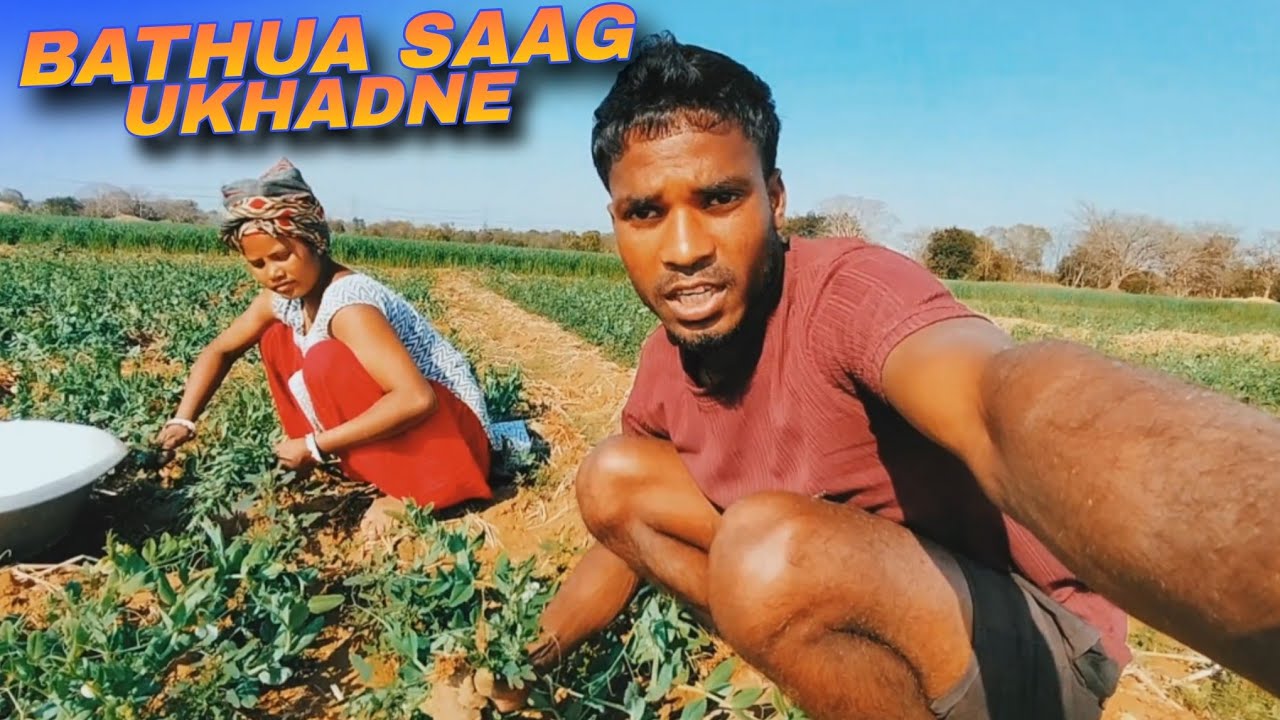 Matar Khet Ka Bathua Saag Ukhadne Aaye Market 🌿😍