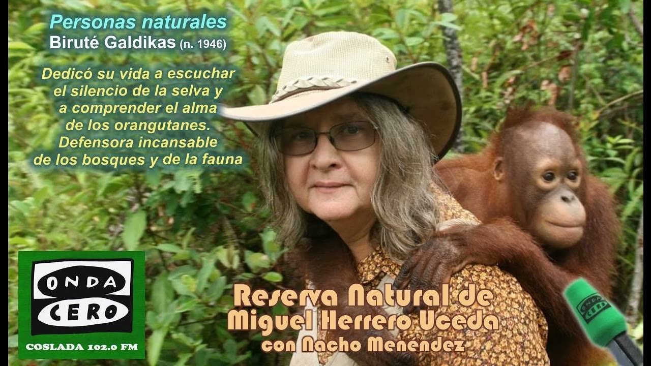 Biruté Galdikas (n. 1946) – Primatóloga y protectora de los bosques primigenios