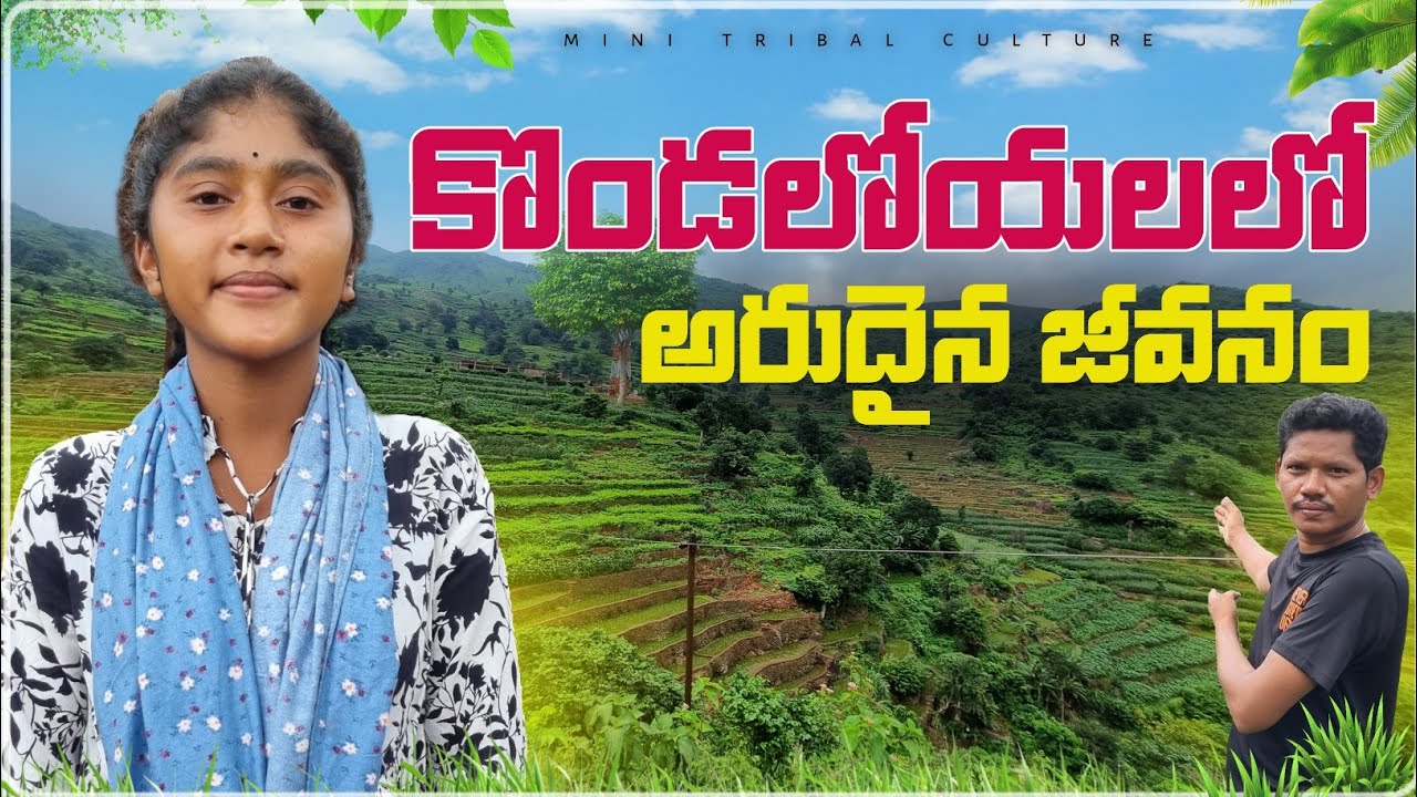 Tribes On HILLTOP | కొండలోయల్లో అరుదైన జీవనం | Natural Tribal life | Culture