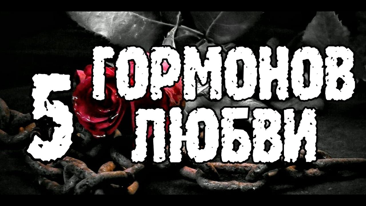 Роль дофамина, адреналина, серотонина, окситоцина и эндорфинов в сексе и отношениях. (Гормоны любви)