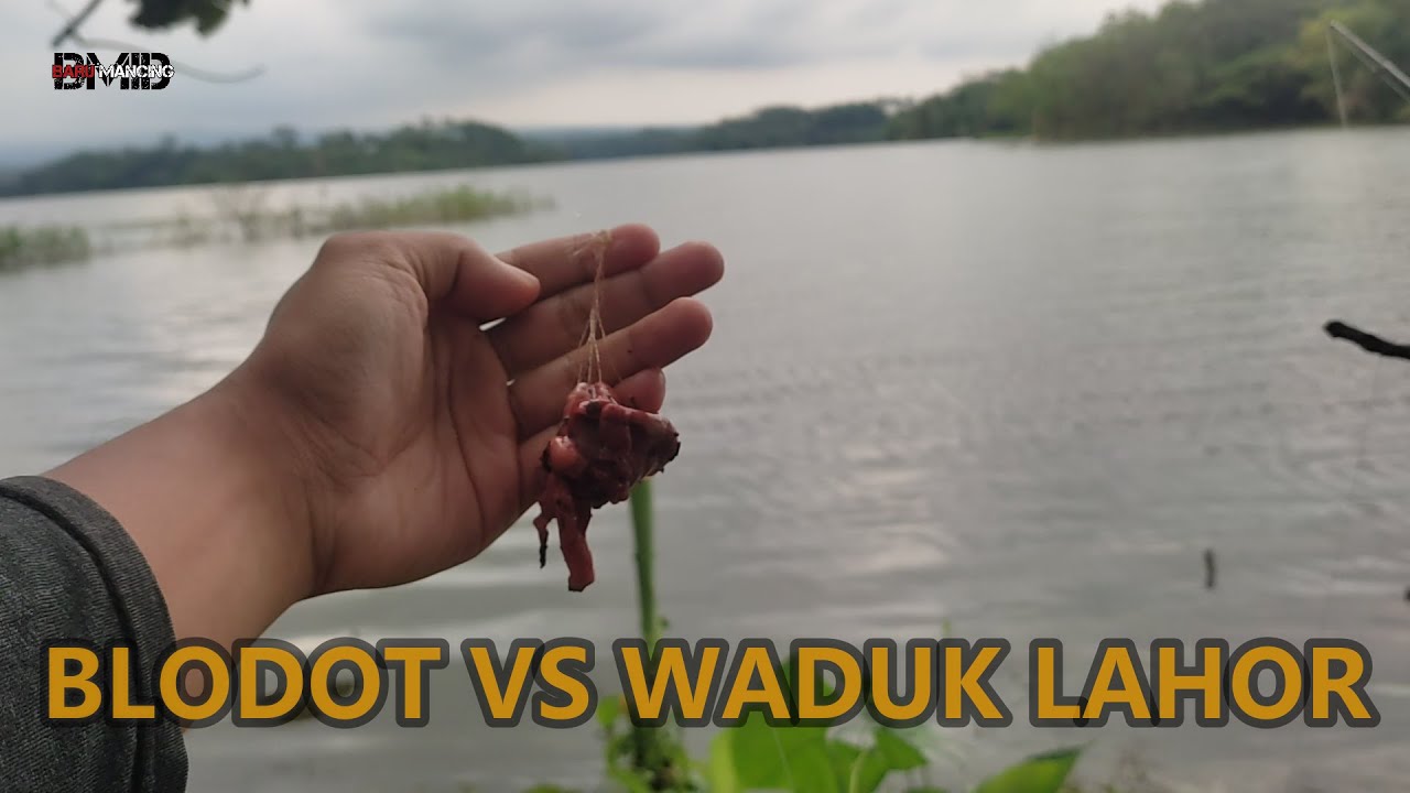 BLODOT GOES TO WADUK LAHOR MALANG | MANCING IKAN TAWES SIRIP MERAH DI SUNGAI BRANTAS | MANCINGAE 112