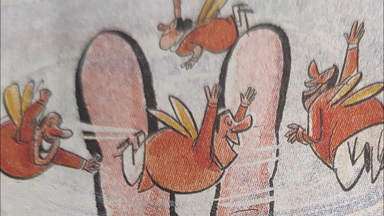 Saffron Season,  Again 
