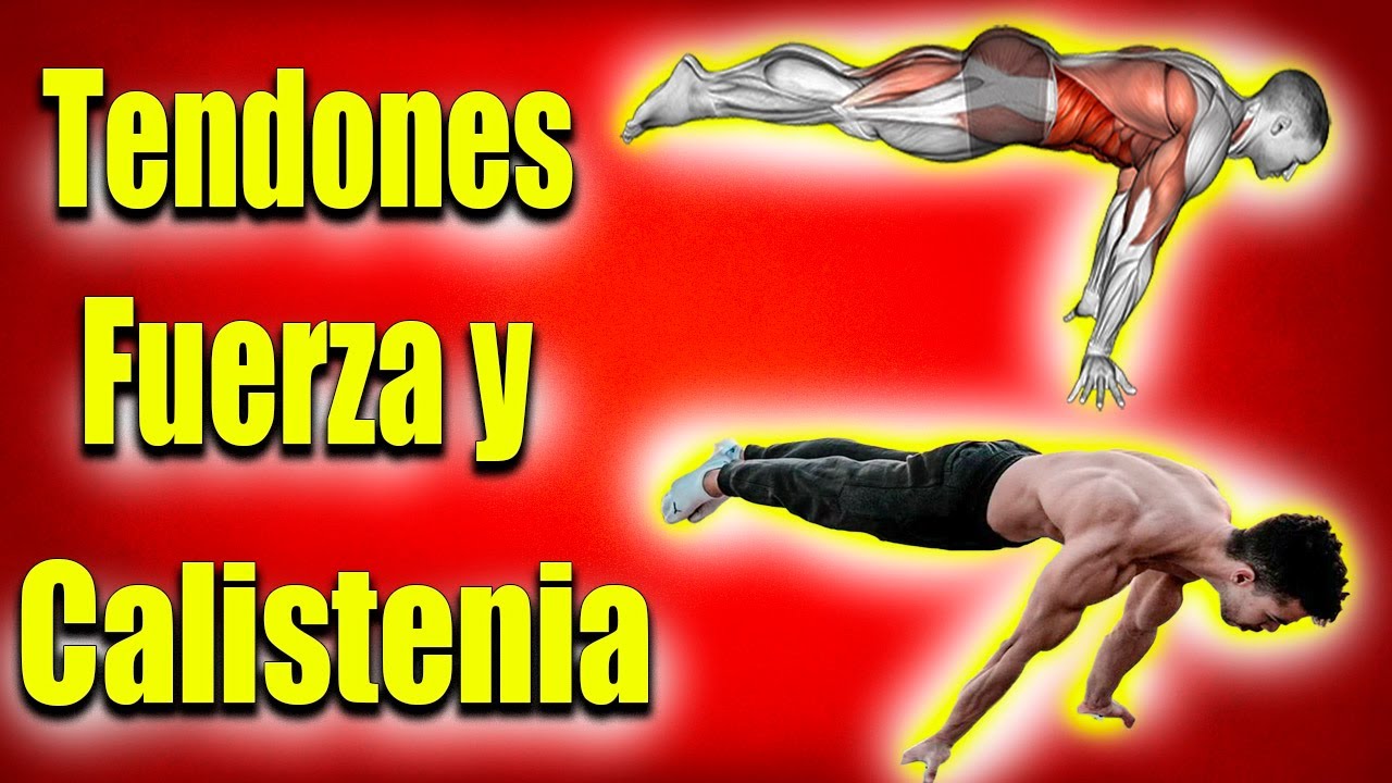 Entiende como FORTALECER tus TENDONES en CALISTENIA