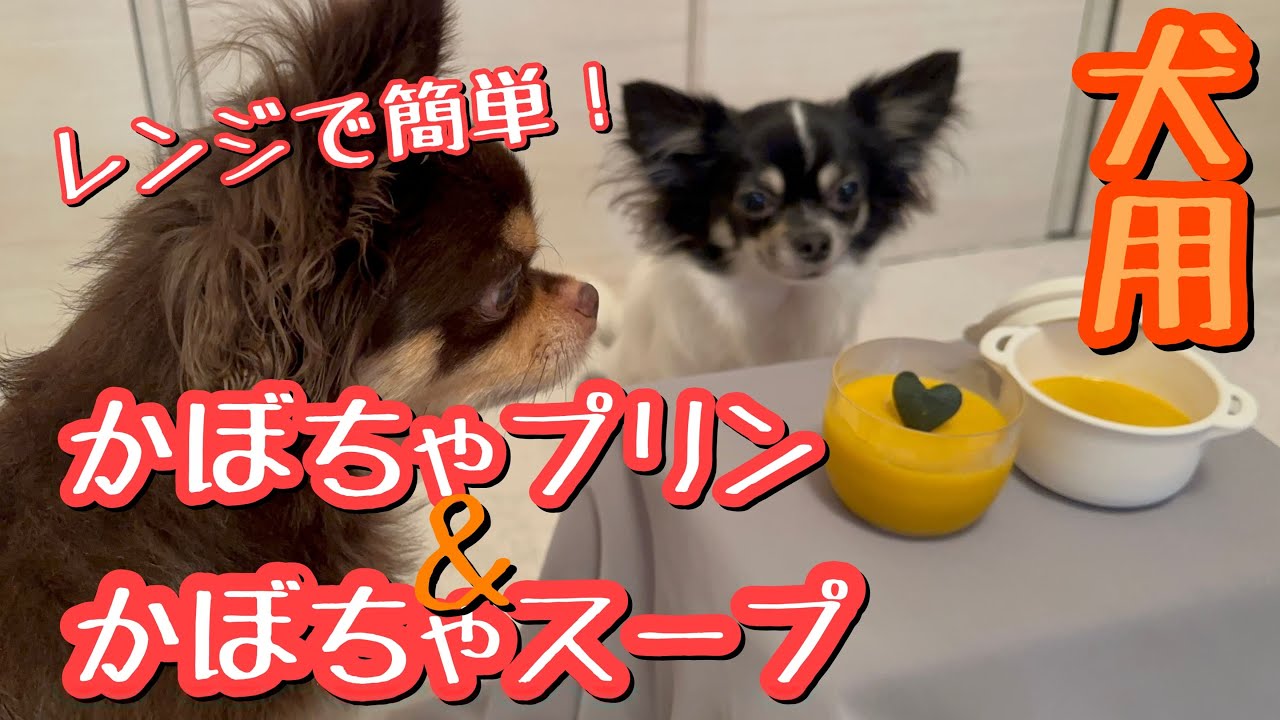 簡単犬おやつレシピ｜かぼちゃプリン🎃かぼちゃスープ【ハロウィン】