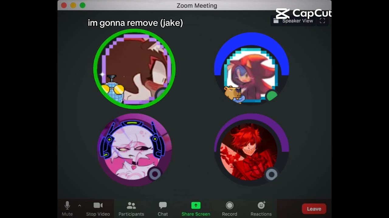 How it feels being in a call with @Prince_Sonic_The_Hedgehog asking a question 