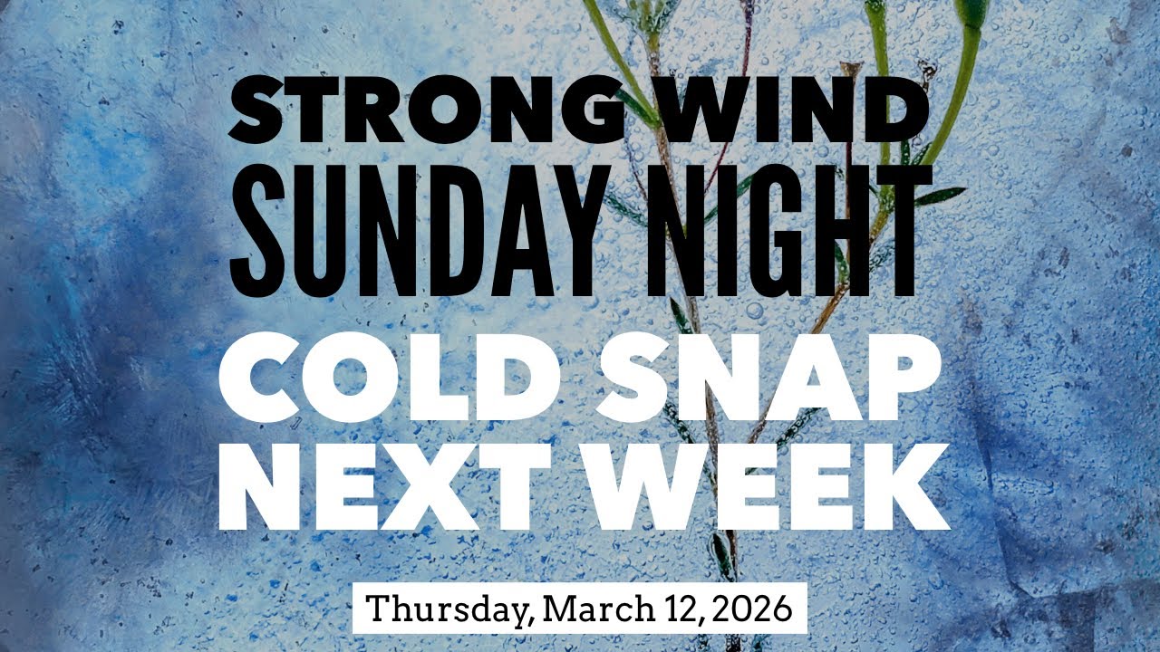 More storms Sunday night; Cold blast brings frost/freeze threat to Alabama