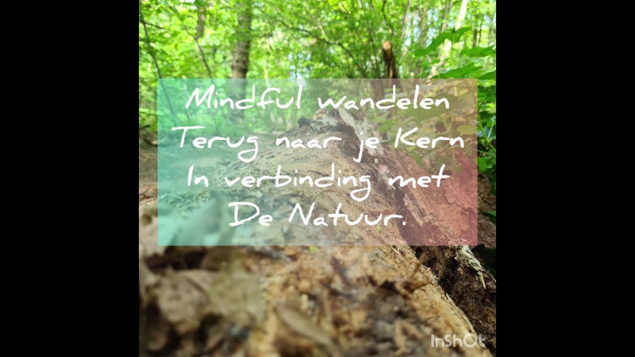 Mindful wandelen, wat is dat ?